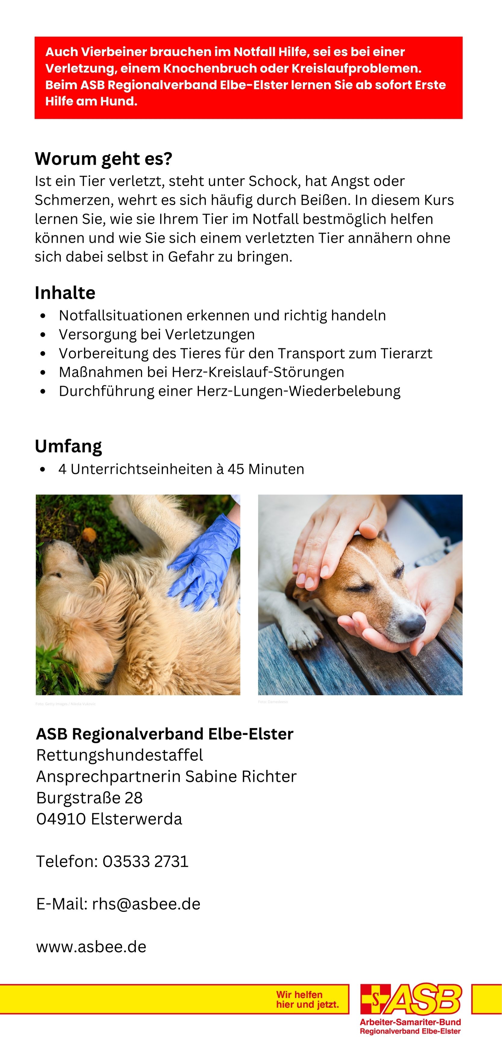 Flyer Erste Hilfe Hund S.2.jpg