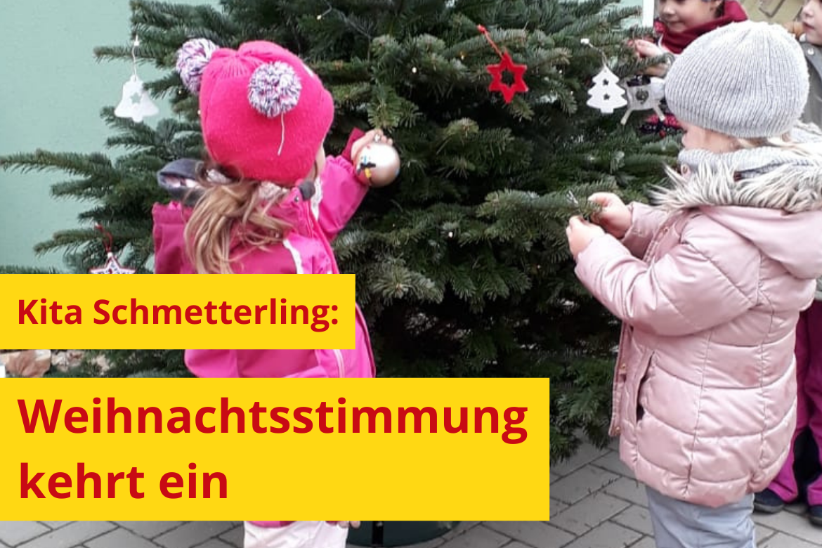 Ein ganz besonderer Weihnachtsbaum schmückt jetzt den Eingangsbereich