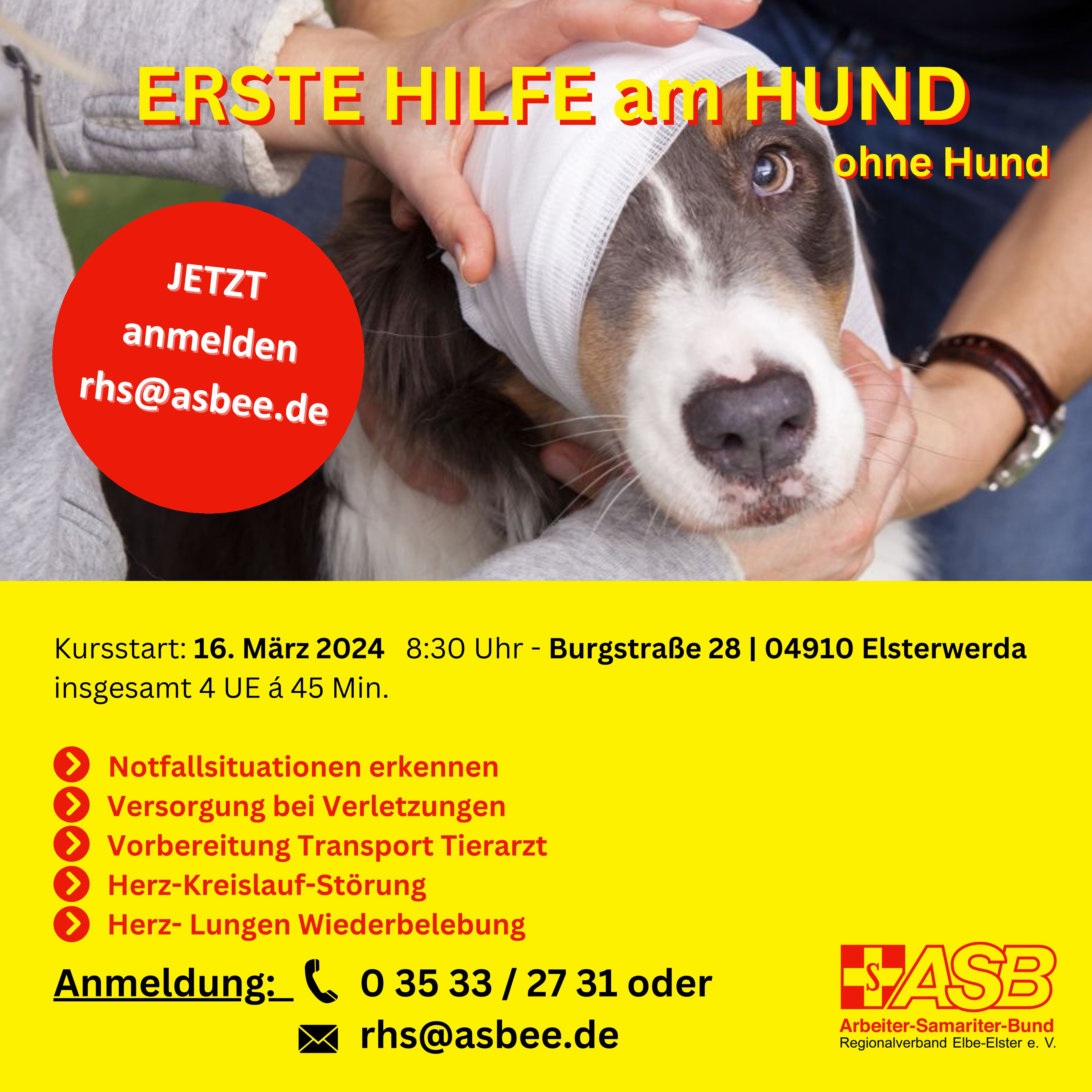 Erste Hilfe Hund.jpg