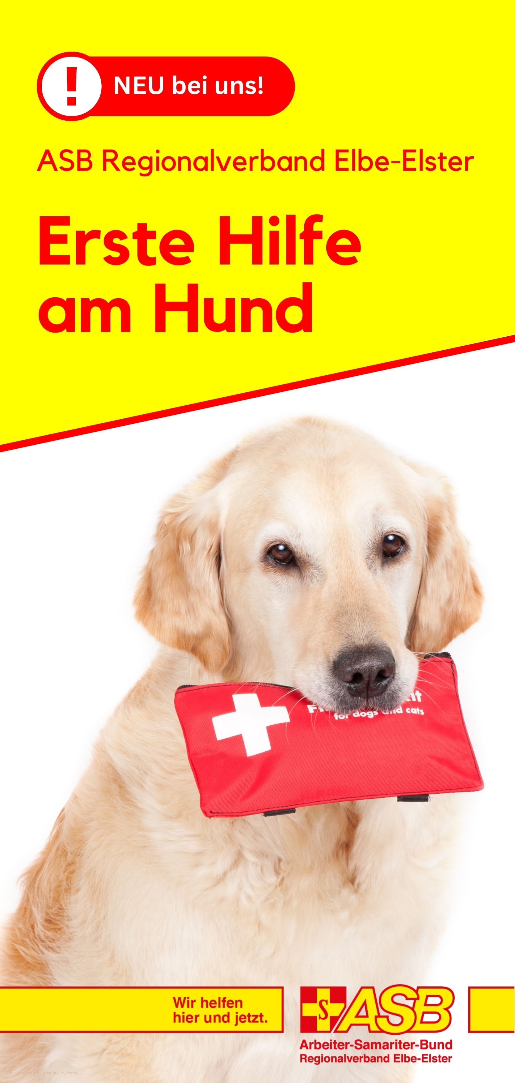 Flyer Erste Hilfe Hund S.1.jpg